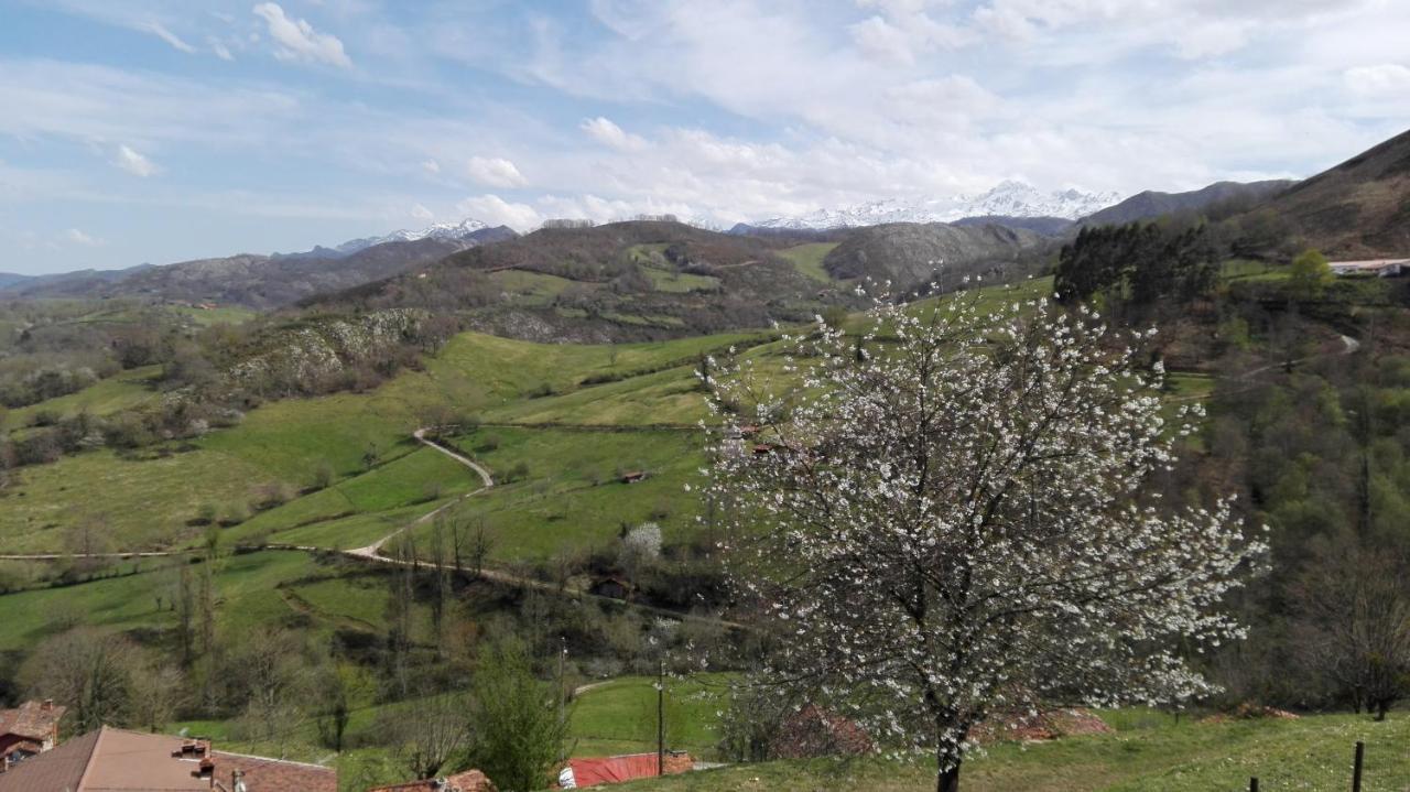 Apartamentos El Llanin Onís Dış mekan fotoğraf
