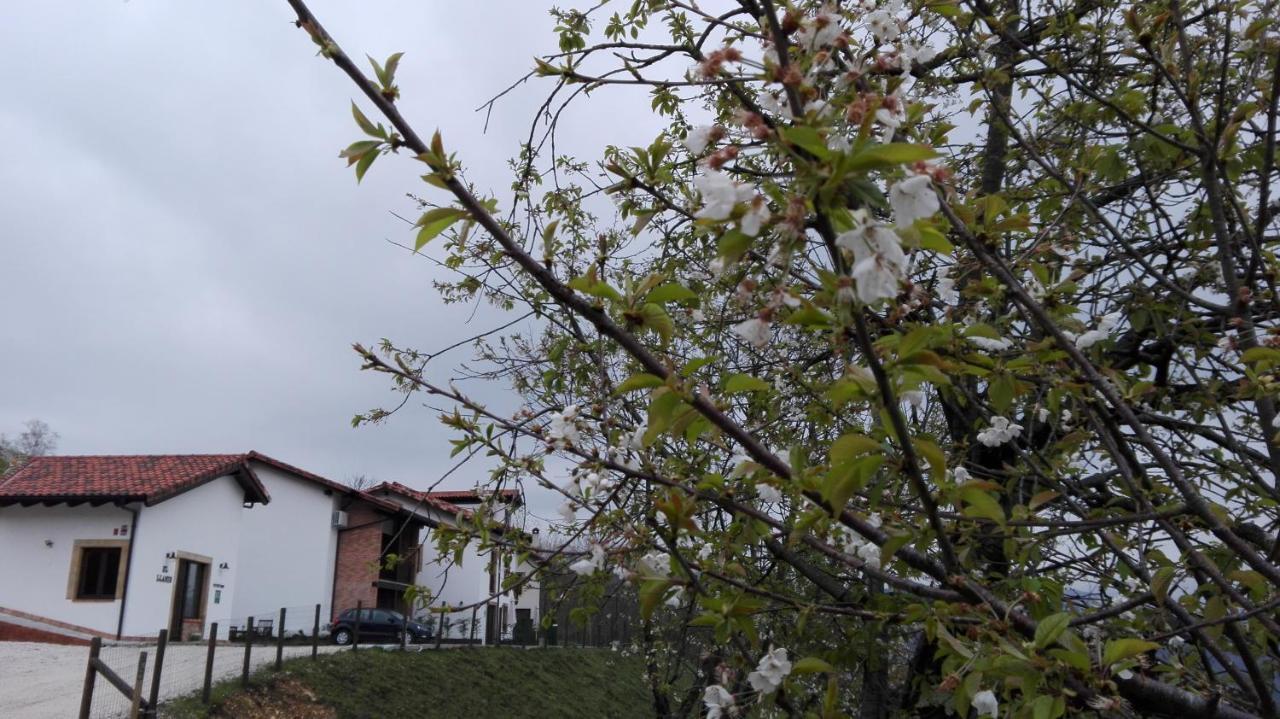 Apartamentos El Llanin Onís Dış mekan fotoğraf
